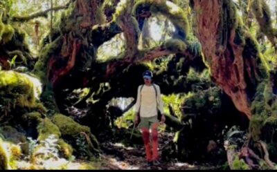 Bak Film Avatar, Keindahan Flora dan Fauna Hutan Lumut di Gunung Geureudong Aceh