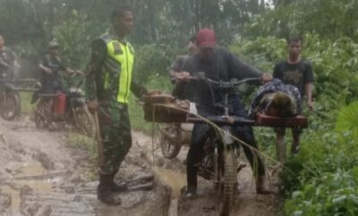 Naas, Seorang Pria di Aceh Timur, Aceh Meninggal Dunia Usai Tertimpa Balok Kayu di Hutan
