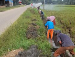 Warga Desa Bantayan Barat Antusias Gotong Royong Bersihkan Saluran Irigasi Sambut Musim Tanam Padi