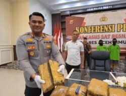 Polres Aceh Timur Gagalkan Penyelundupan 67 Kg Ganja, Dua Kurir Dibekuk
