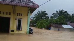 Aceh Timur Kritis! Banjir Meluas ke 20 Kecamatan, Jembatan Hanyut & Listrik Padam
